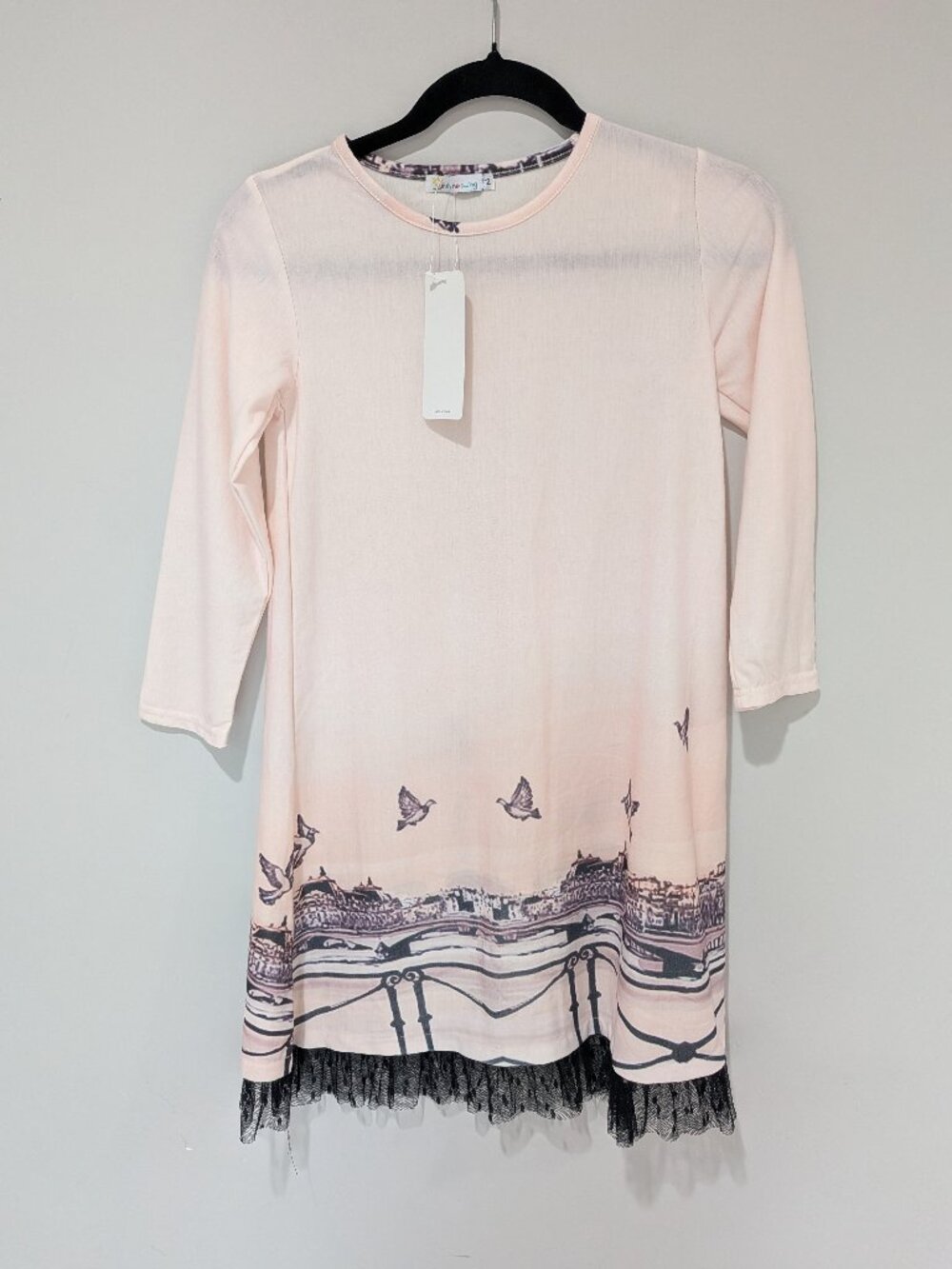 Sunshine Swing Paris Skyline Graphic Dress Pink 12